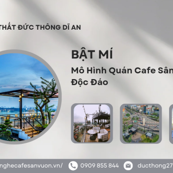 Hình ảnh Kinh Nghiệm Mở Quán Cafe Sân Thượng Hút Khách