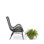 hình ảnh chi tiết Ghế Cafe Nhựa Giả Mây GCF02410