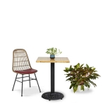 hình ảnh chi tiết Bộ Bàn Ghế Cafe BGCF024109