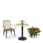 hình ảnh chi tiết Bộ Bàn Ghế Cafe BGCF024141
