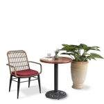 hình ảnh chi tiết Bộ Bàn Ghế Cafe Đan Giả Mây BGD014VANG